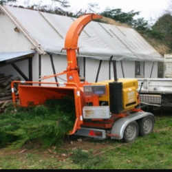 Abattage et nettoyage